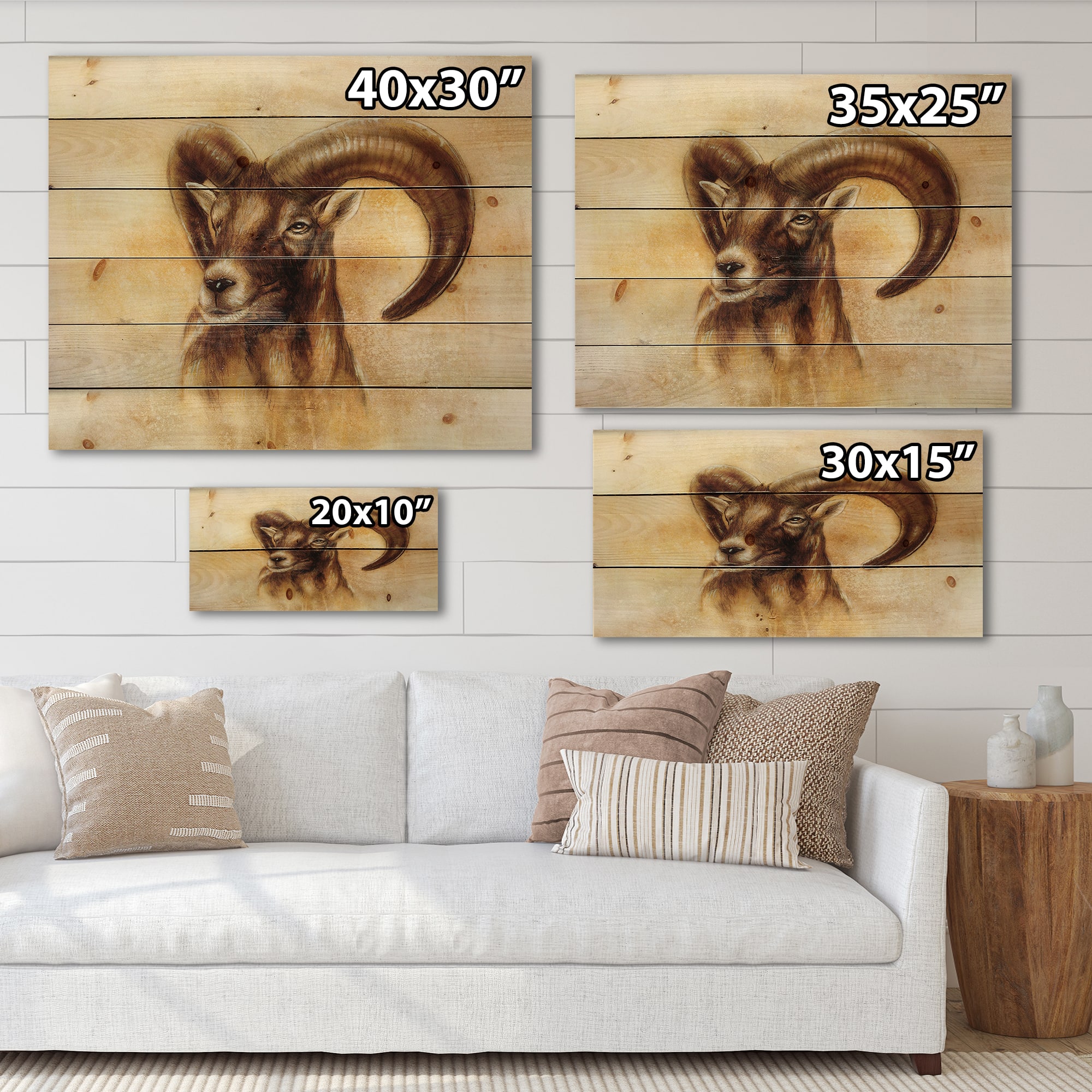 Designart - Portrait of Wild Ram With Mighty Horns I